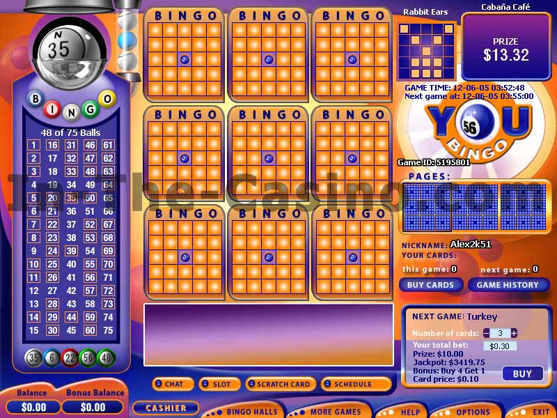 You Bingo 5.8 software screenshot