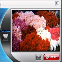 dvdXsoft DVD to iPod Converter  (1) 5.0 software screenshot