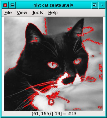 Giv 1.1 software screenshot