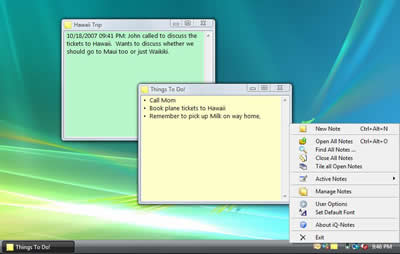 iQ-Notes 6.00 software screenshot