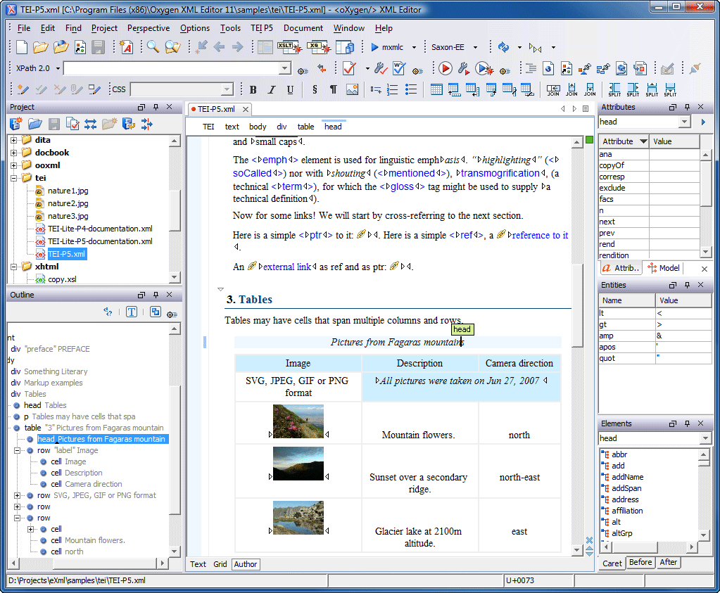 oXygen XML Editor and XSLT Debugger 13 software screenshot