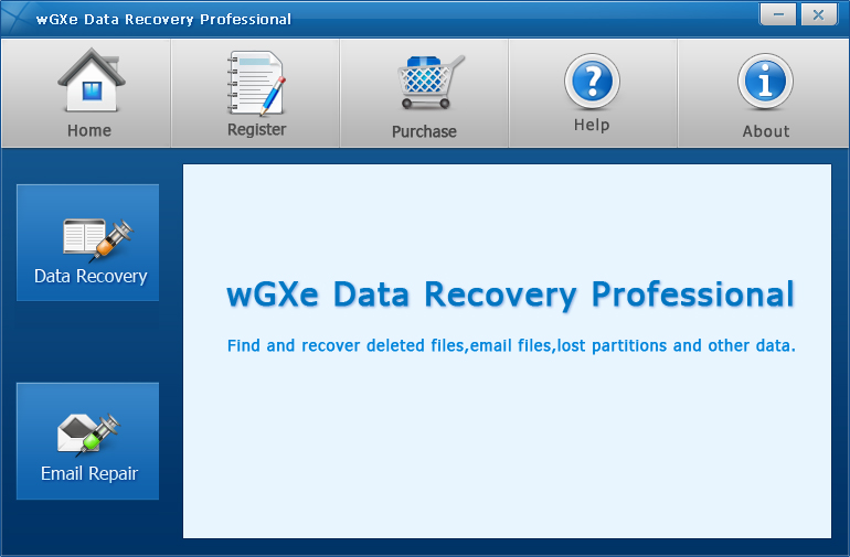 wGXe Data Recovery Professional 2.0.0.0 software screenshot